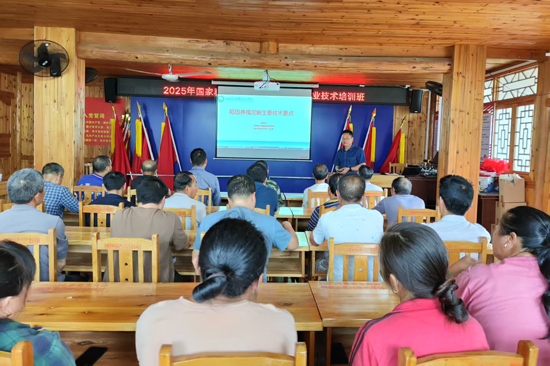 开展稻田养殖泥鳅培训。PP电子游戏网站供图